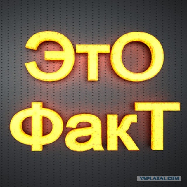 Какие у вас накопления?
