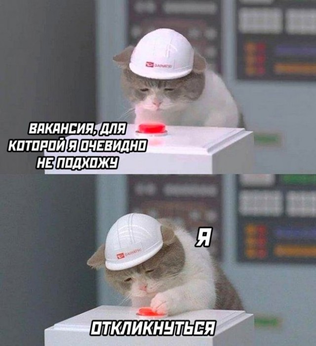 Немного картинок для настроения - 151