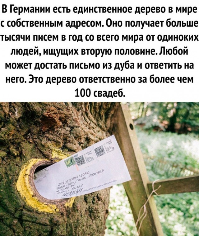 Немного картинок для настроения - 165