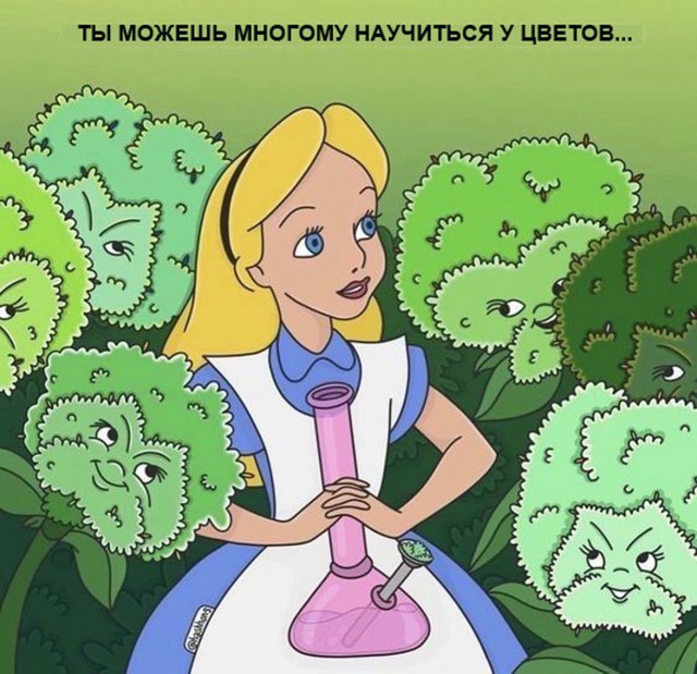 Прикольные и просто красивые картинки 14.07.2023