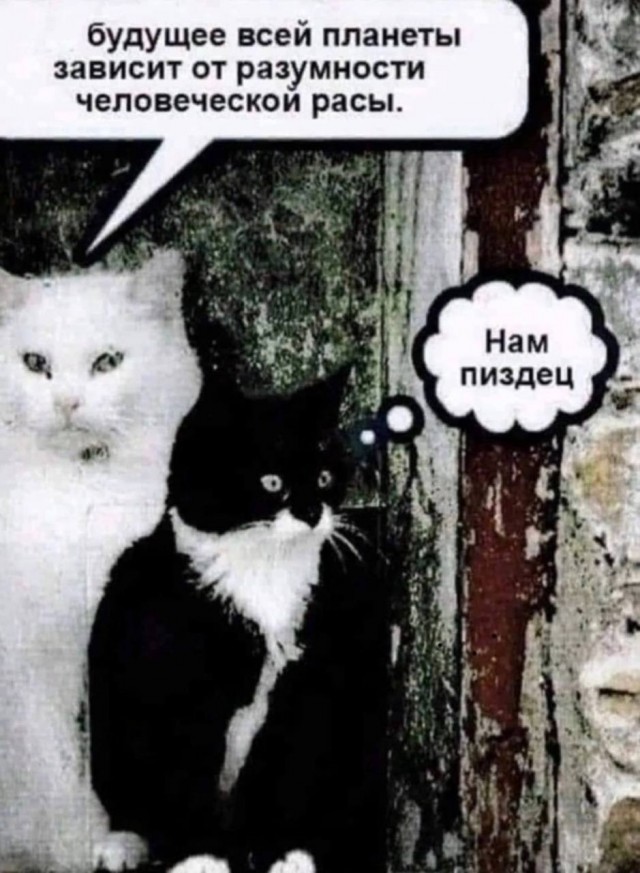 Немного доброго вам в ленту