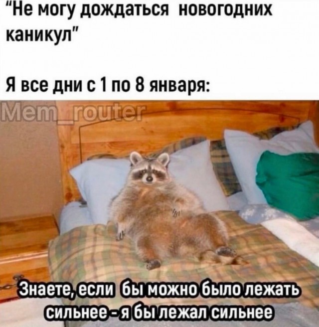Отряд быстрого деградирования