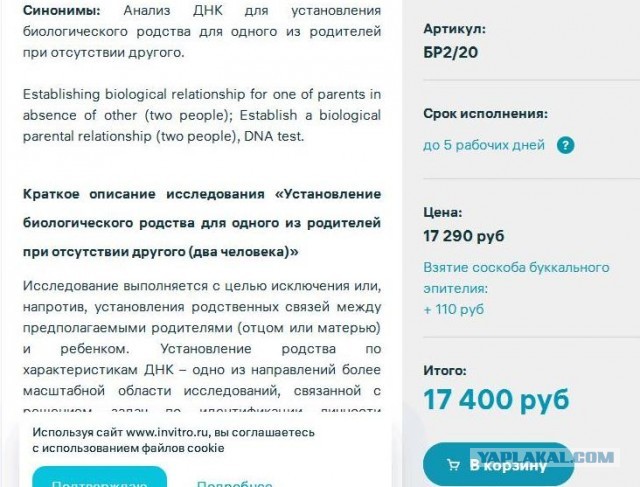 Обязательный тест ДНК: как и когда?