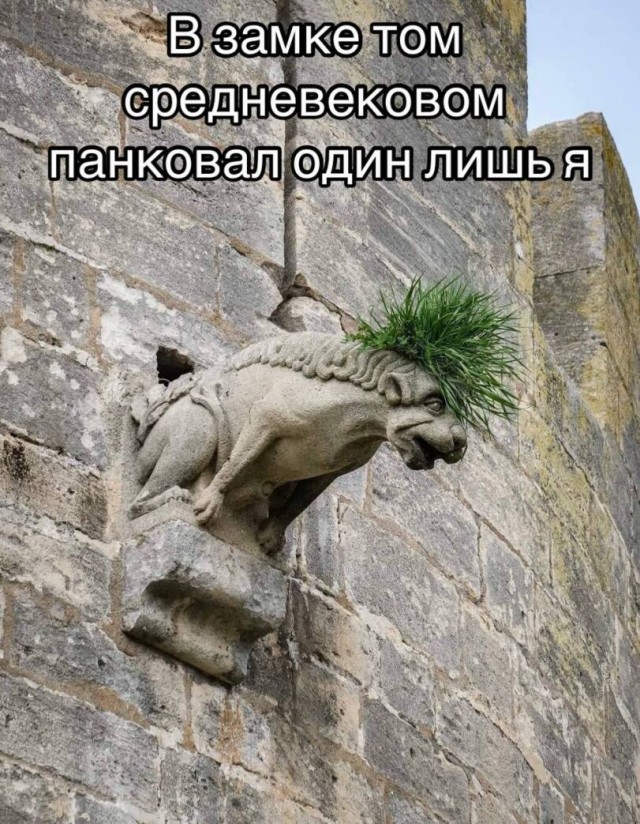 Никакие картинки и тексты