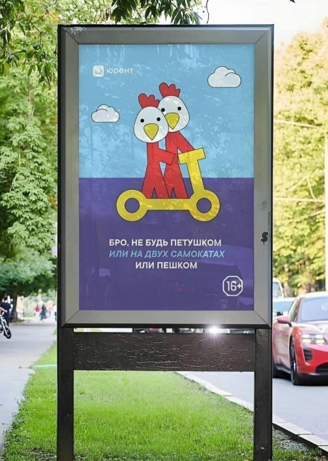 В Петербурге 29 тыс. человек лишились кикшеринг-аккаунтов из-за нарушений ПДД