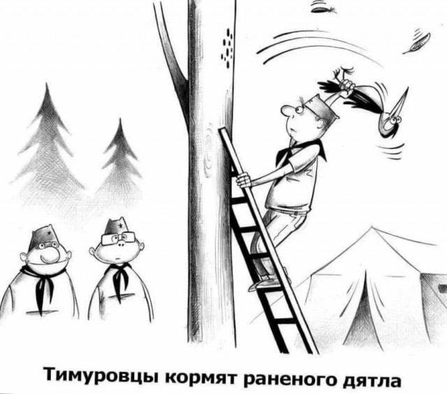 Спасение дятла