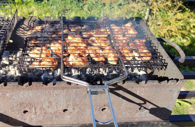Огонь и мясо