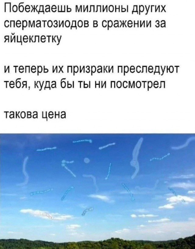 Завалялось тут случайно немного забавных картинок