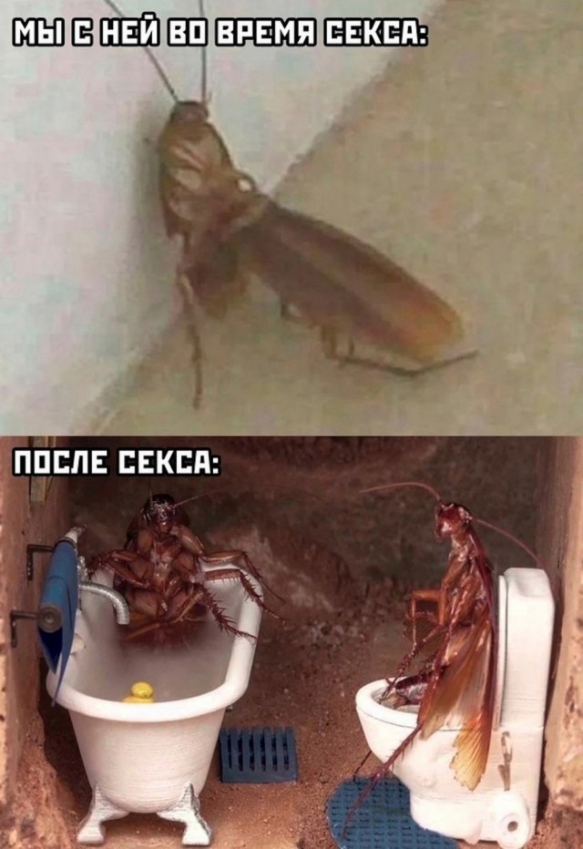 Картинки разные с надписями и без