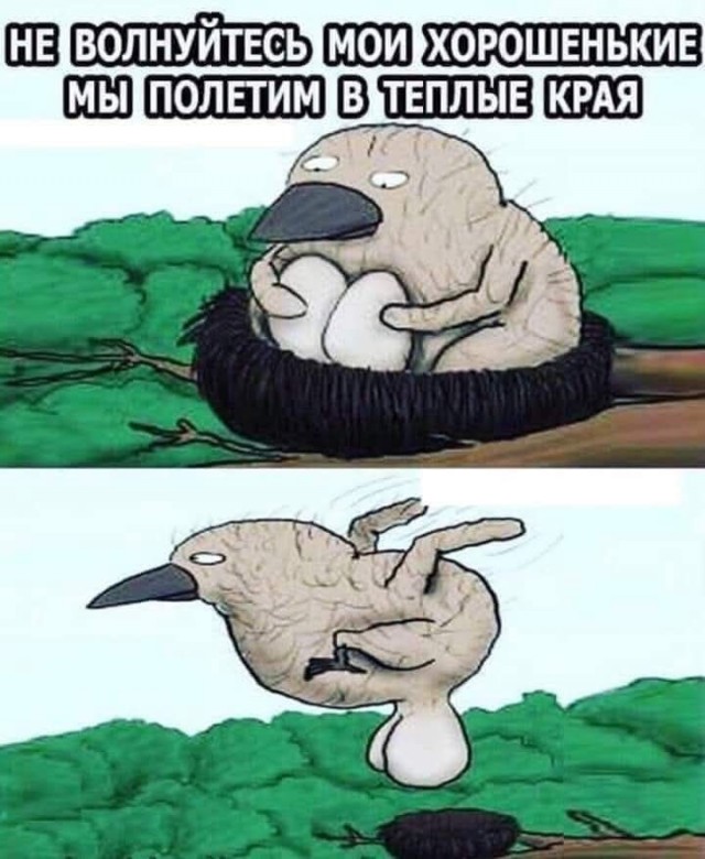 Завалялось тут случайно немного забавных картинок