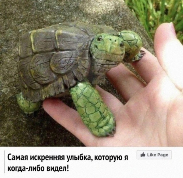Картинки для деградации 9 (разной степени свежести)