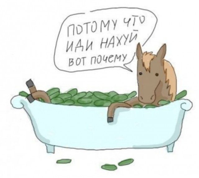 Вопросы, которые не зададут президенту на прямой линии