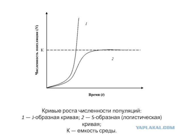 Почему происходит сокращение рождаемости во всем мире и чем это закончится?