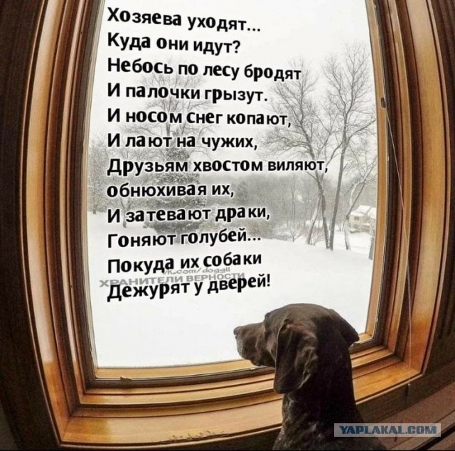 Куча мала 12