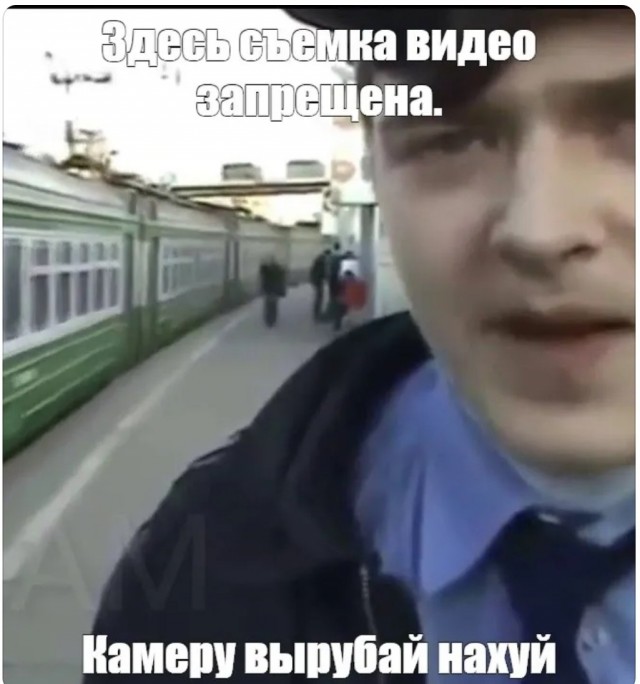 Байкальская нерпа вылезла подышать, и попала на камеру