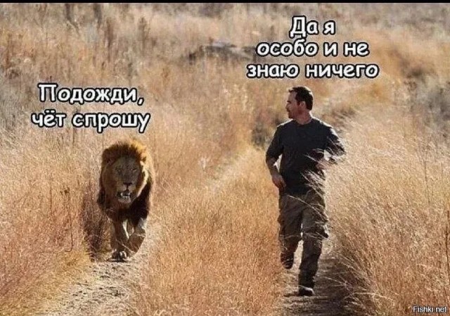 Из зимы в лето. Поездка в ЮАР.