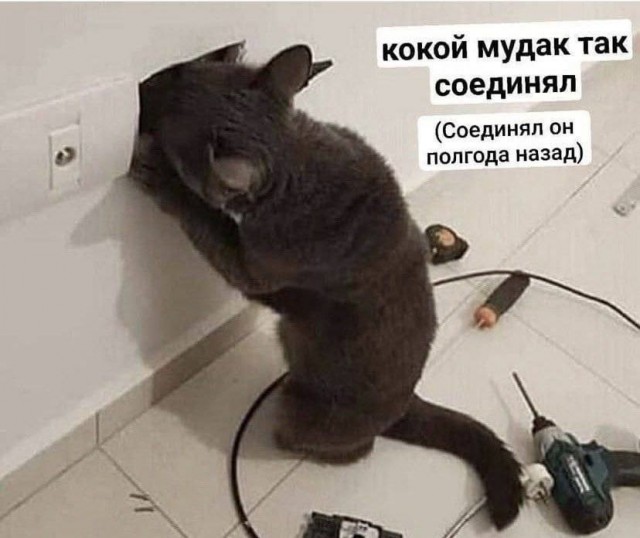 Потная гамсахурдия №8 (Картинки)