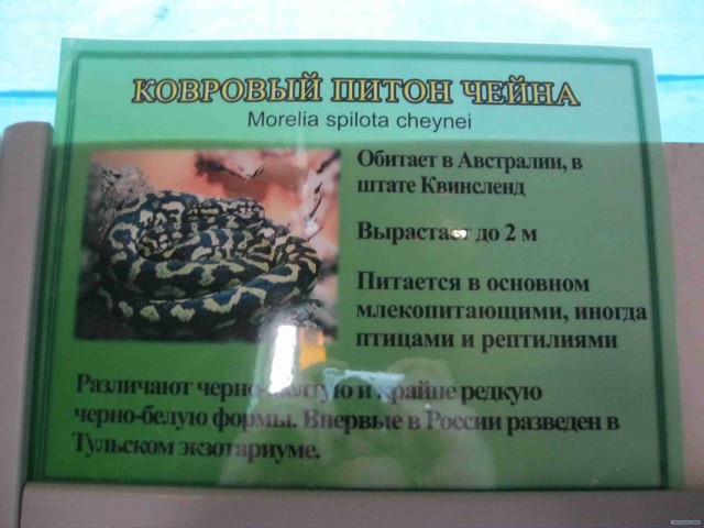 Поход за хорошим настроением