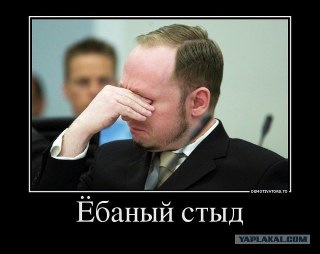 Новый тренд в соцсетях - полная атрофия мозга