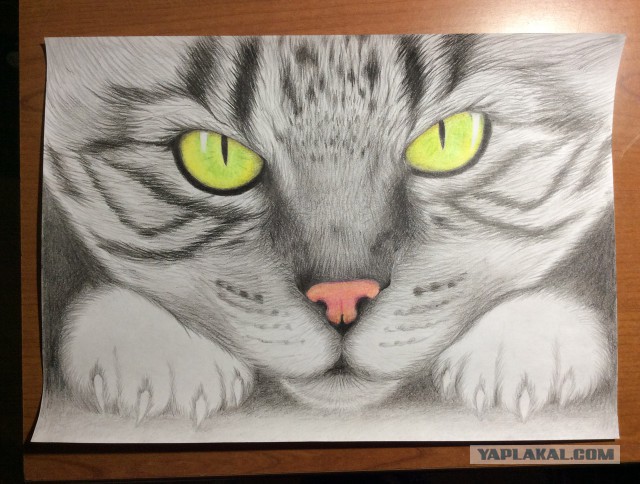 Девушка нарисовала котуху для котовторника
