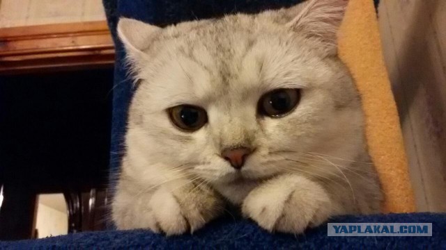 Мы нашли ее