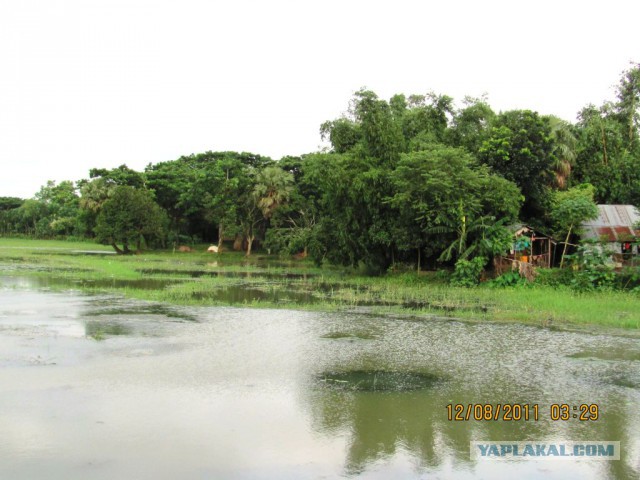 Что такое Бангладеш?