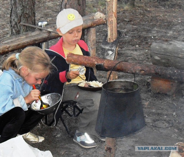 Уникальный лесной вертел для мяса, рыбы, птицы