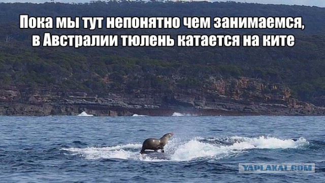 Абсурдный юмор ч.7