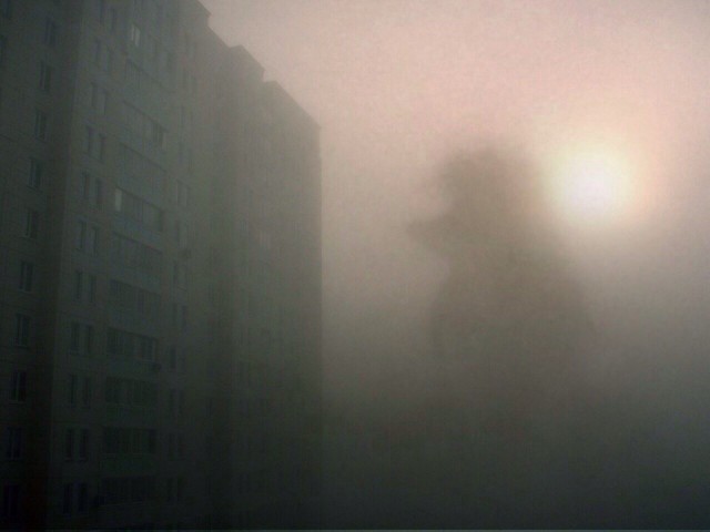 Вот и сегодня Ёжик сказал Медвежонку