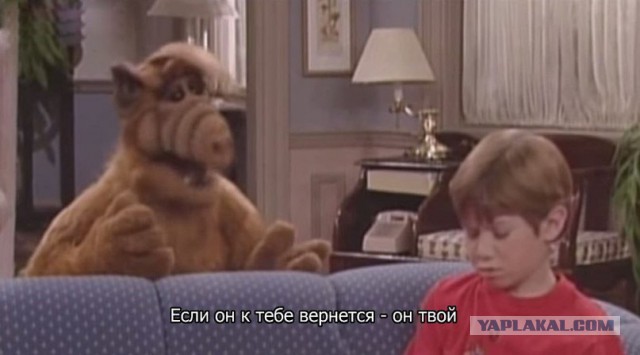 Картинки из ваших этих итернетов...
