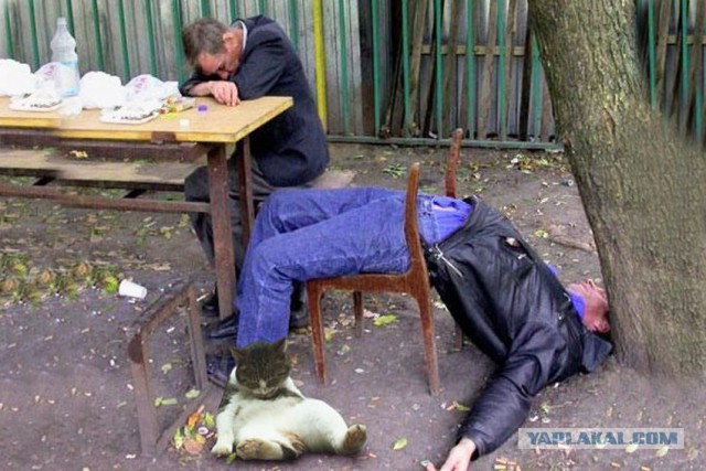 Скамейки Убийцы!