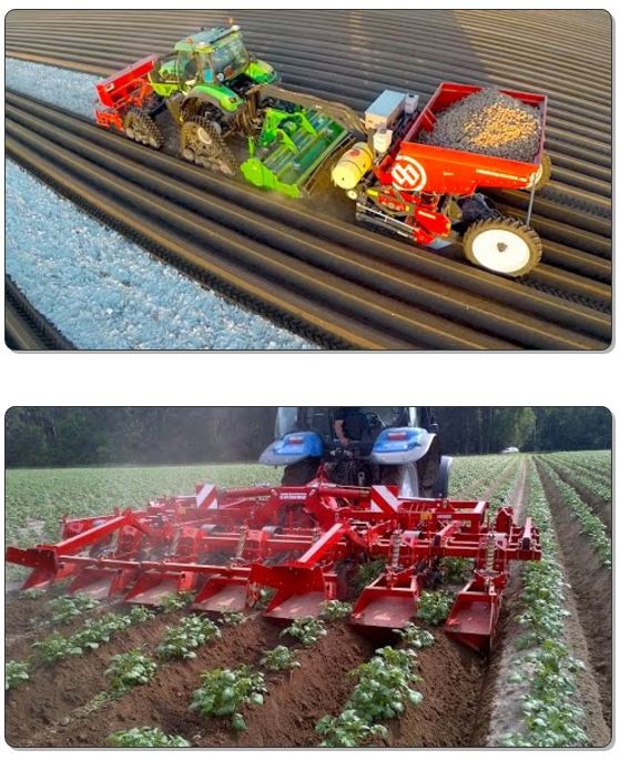 Посадка и окучивание картошки в Нидерландах , все для людей