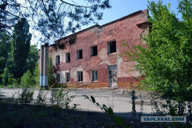 Семикаракорский консервный завод