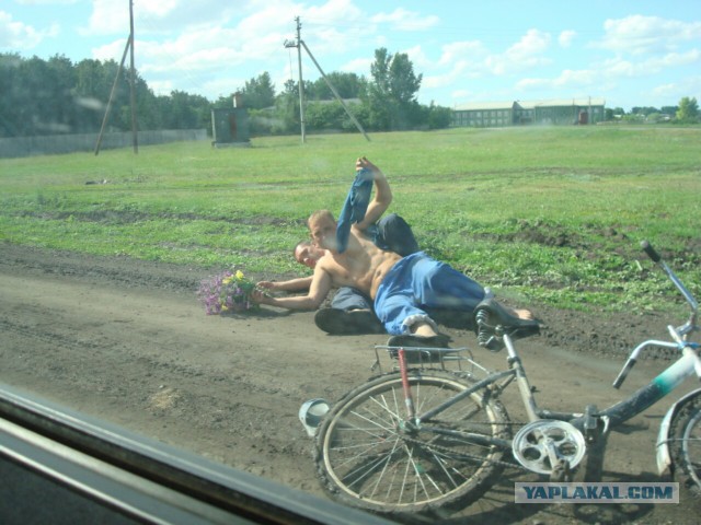 Лисапет, мой лисапет.......