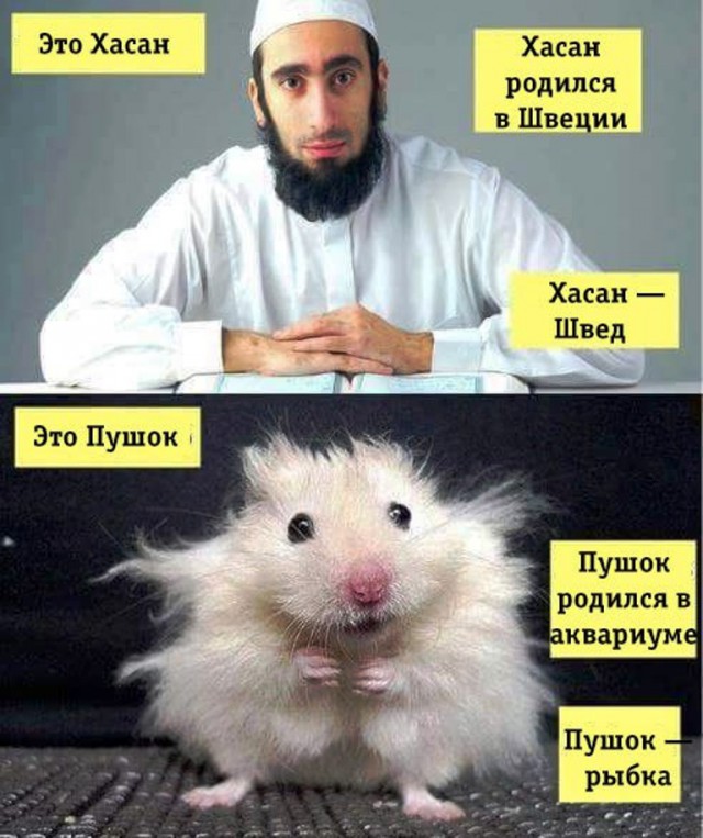Шутник