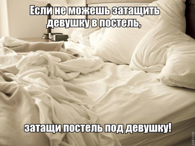 Картинки и приколы из сети