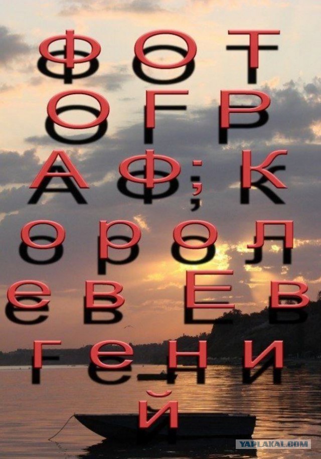 Веб-студия "Сокол"
