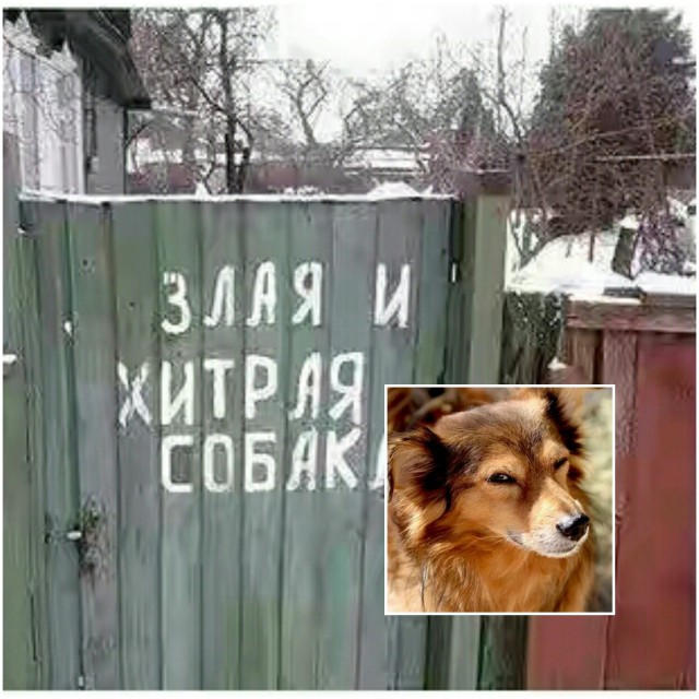 Подборка интересных и веселых картинок