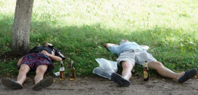 Подборка безудержного веселья
