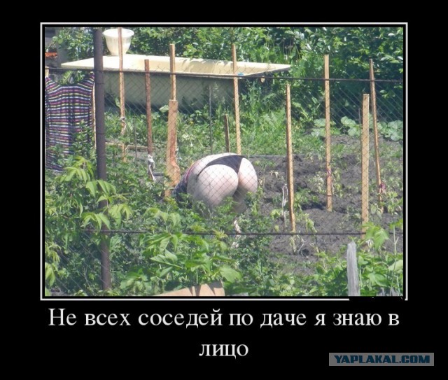 Путин утвердил закон о садоводческом и огородническом товариществах