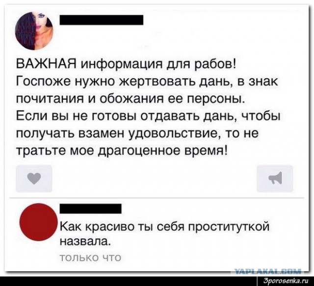 Смешные комментарии из социальных сетей 22.12.2017