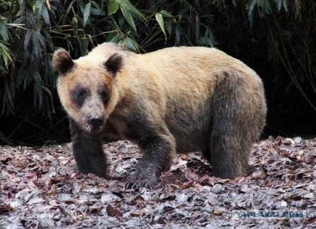 Просто Природа