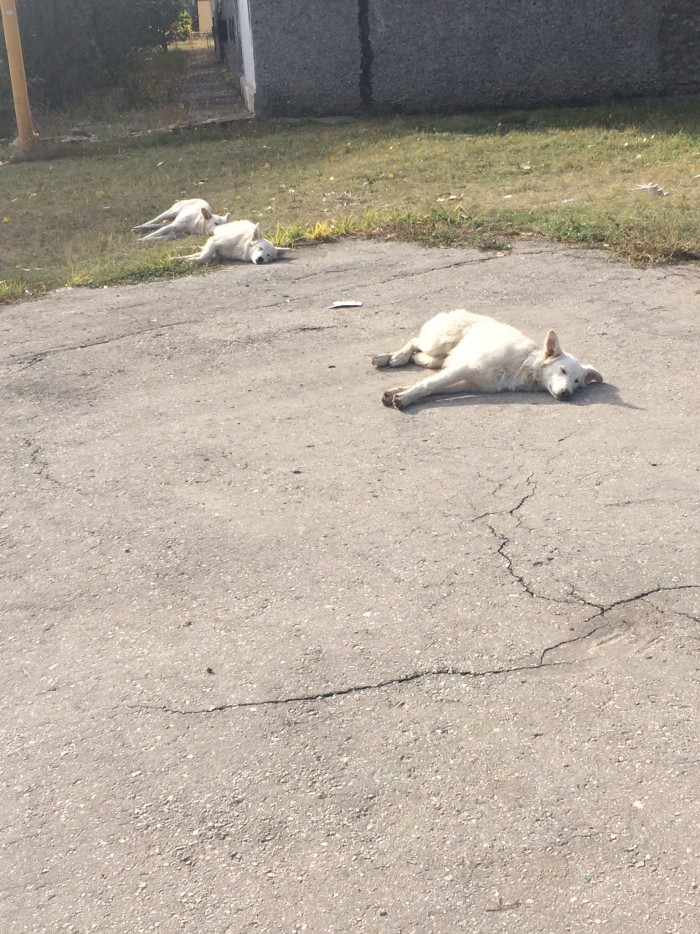 Совпадения, которые нарочно не придумаешь