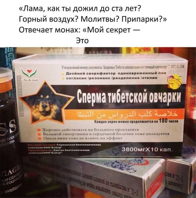 Прикольные картинки абавсём