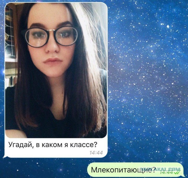 Работу кончай, пост с картинками открывай!