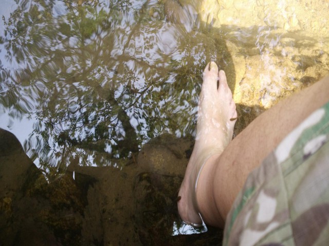 К живым мостам и обратно. Заметки из Индии