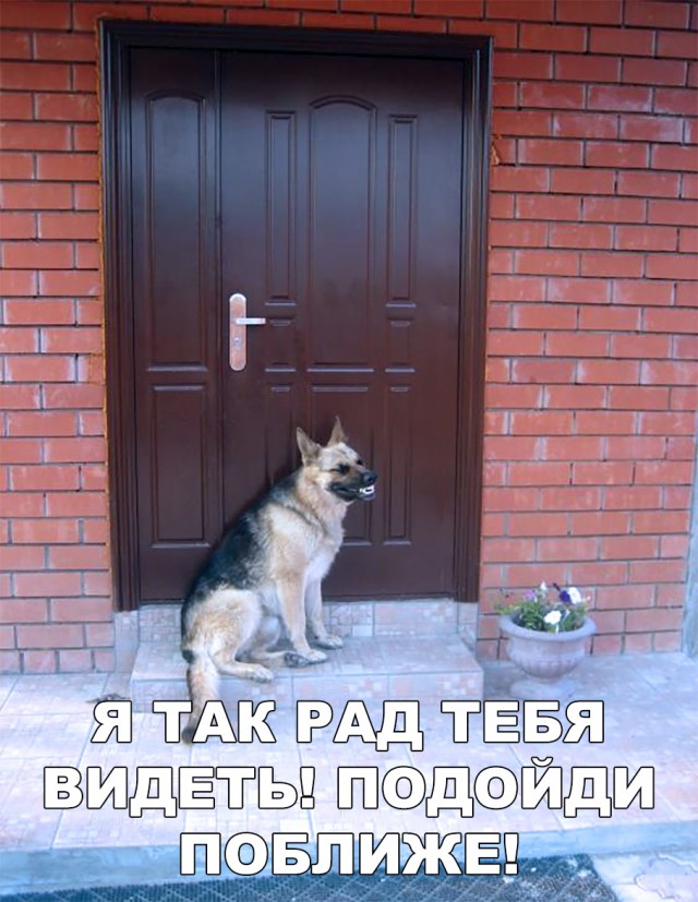 Нестандартный юмор