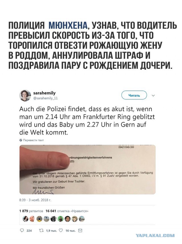 Трогательные истории в фотографиях