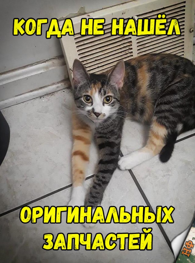 Нестандартный юмор
