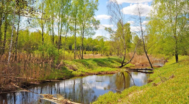 Весной в деревне